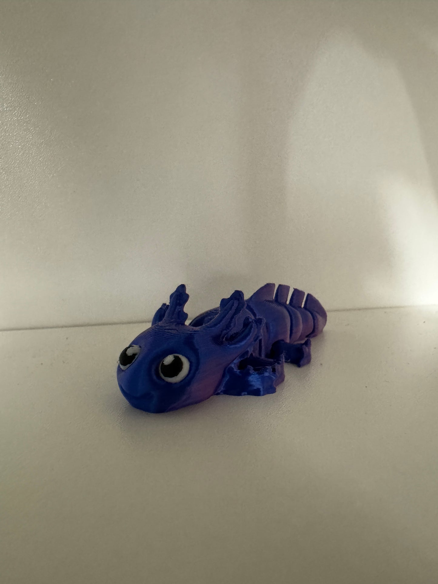 Small Animals