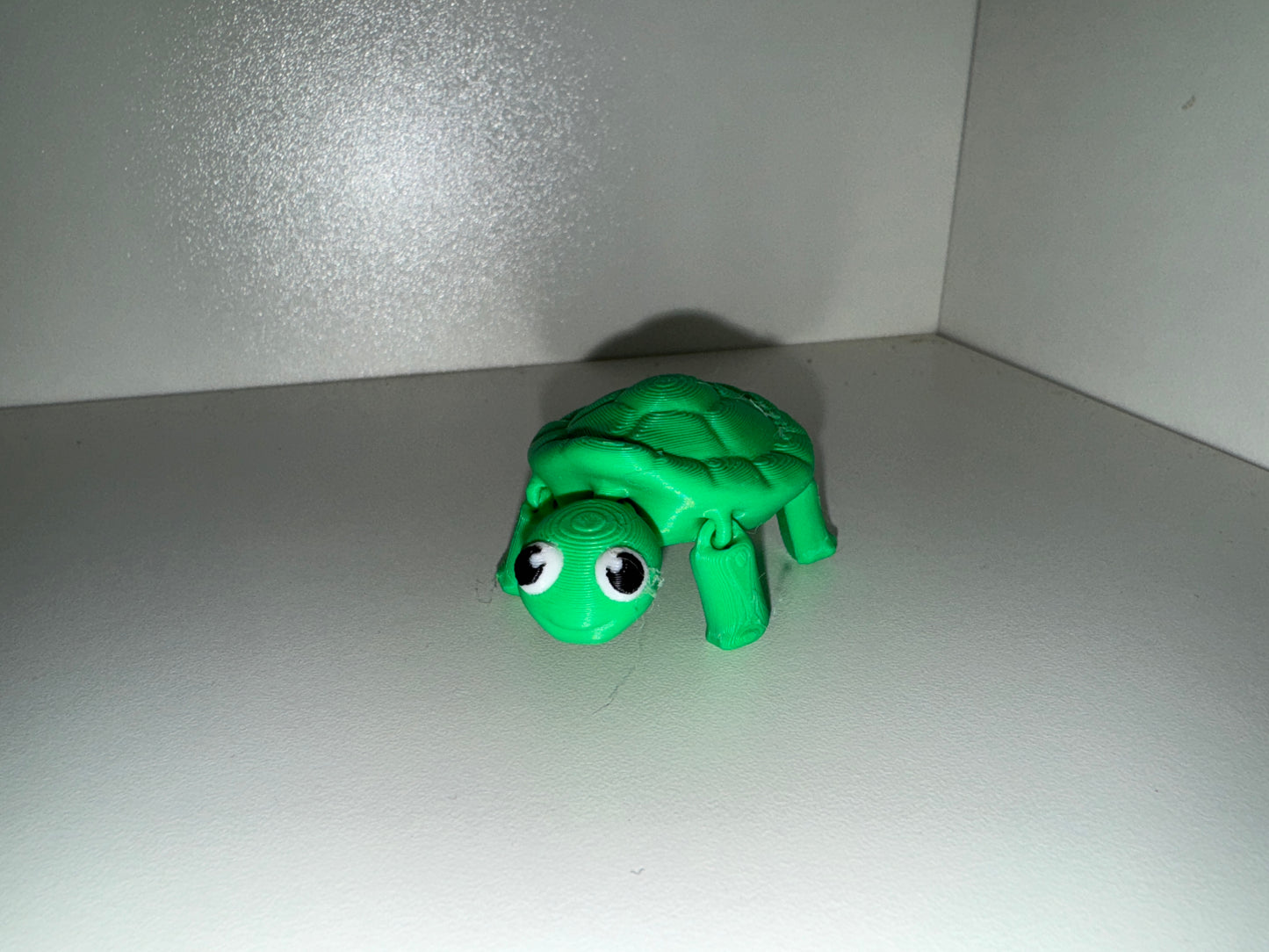 Small Animals